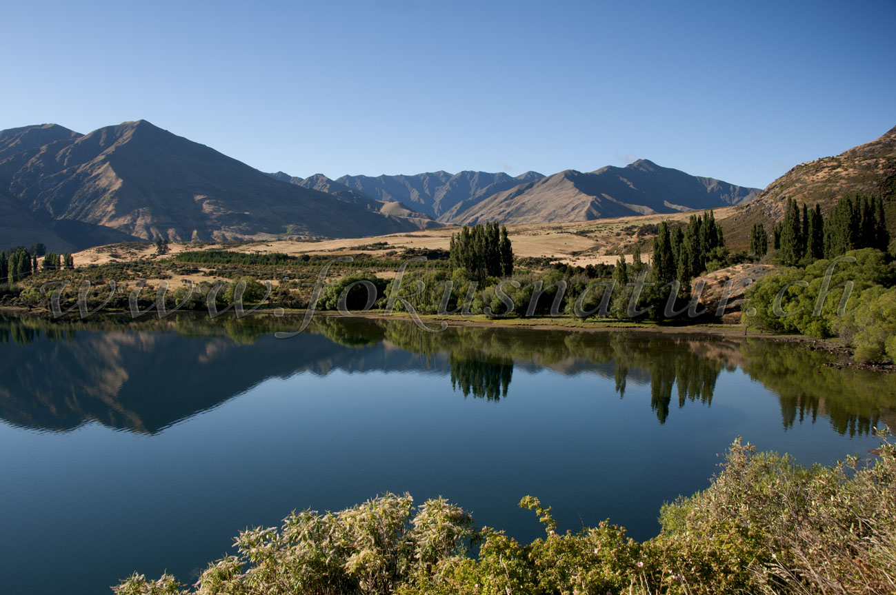 Lake Wanaka, Otango