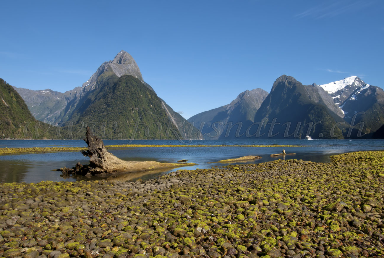 Milford Sound