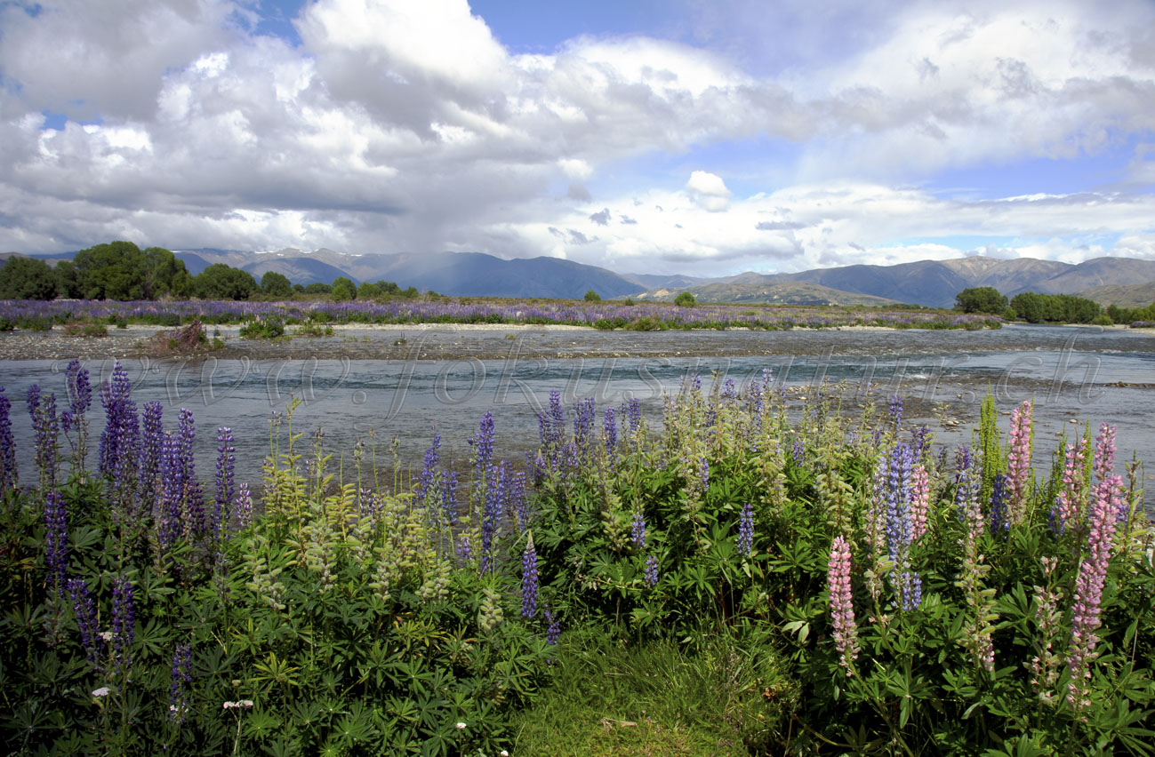 Rangitata River