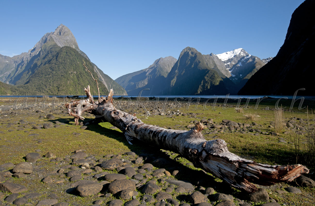 Milford Sound, Fjordland National Park