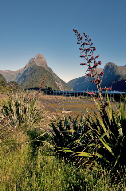 Mitre Peak, Fjordland NP