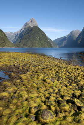 Milford Sound