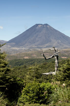 Ngauruhoe