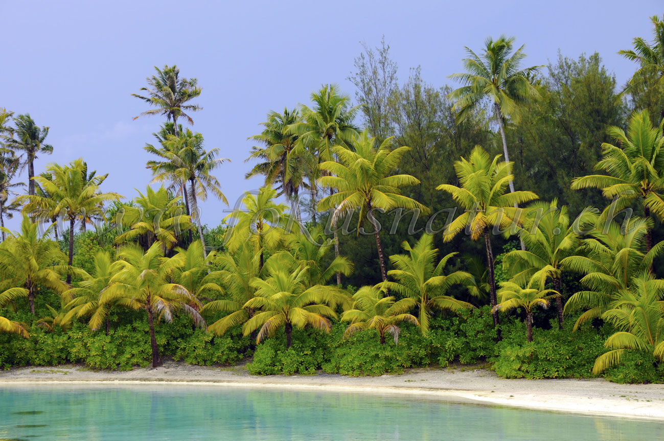 French Polynesia