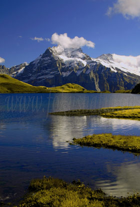 bachalpsee