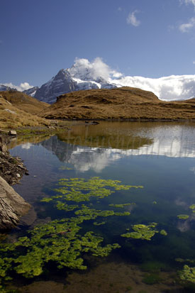 lauberhorn