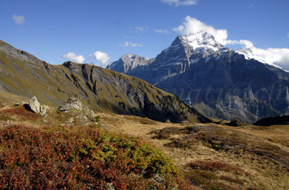 blumenweg, berner oberland