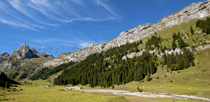 saustal, pano