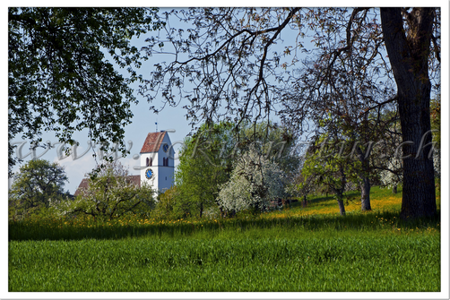 CH 1060.116 - Kirche