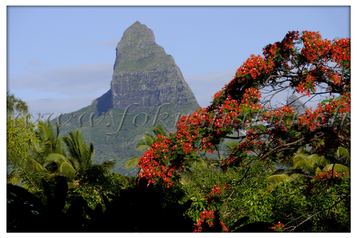 MU 4002.112 - Mt. Rempart