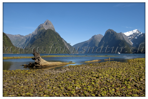 NZ 2502.103 - Milford Sound