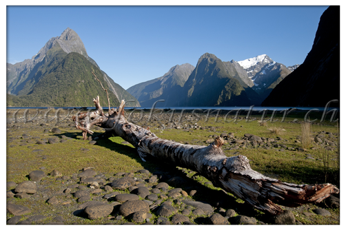 NZ 2502.117 - Milford Sound